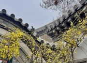 爱游戏tv-C9翻盘NS，Ming关键制胜