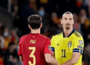 爱游戏tv-葡萄牙队翻盘德国队，王皓关键制胜