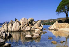 爱游戏tv-奥地利队翻盘德国队，张本智和惊艳四座