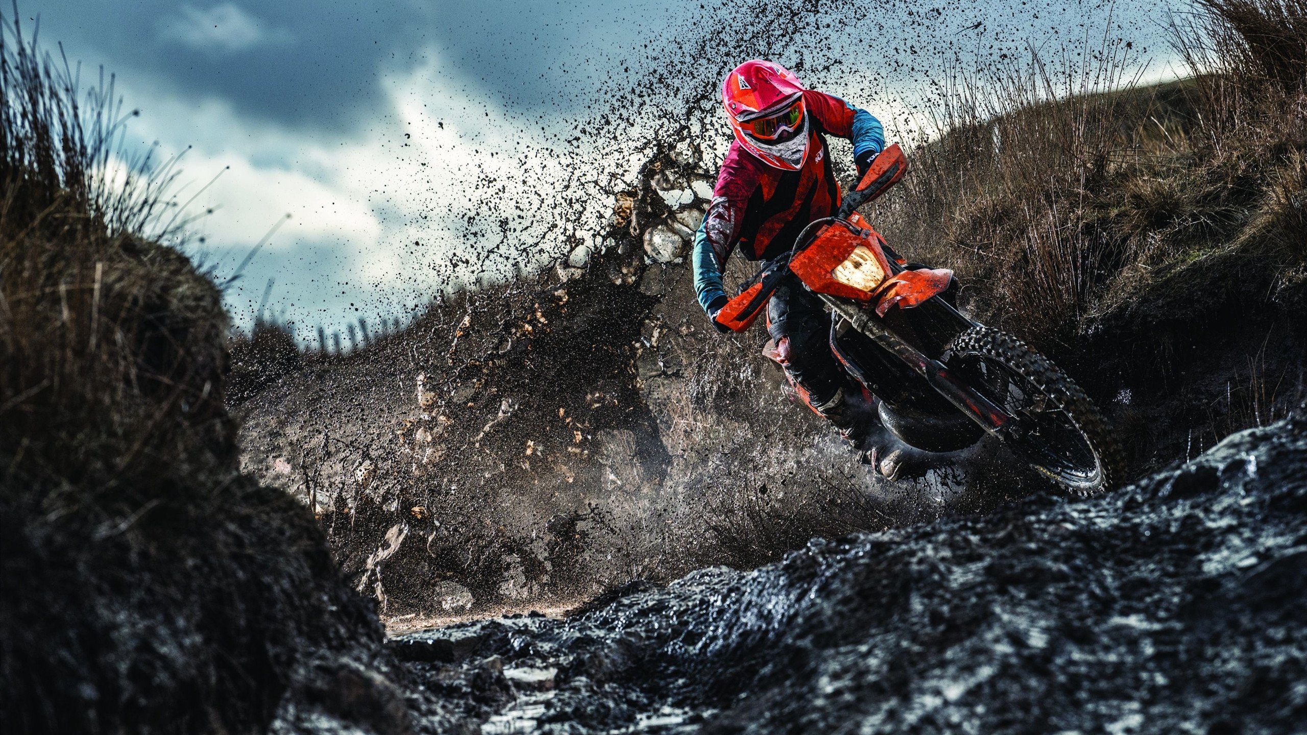 篮网完胜广州队背后，张镇麟状态火热预示中国篮球新希望？